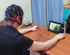 EEG 2022