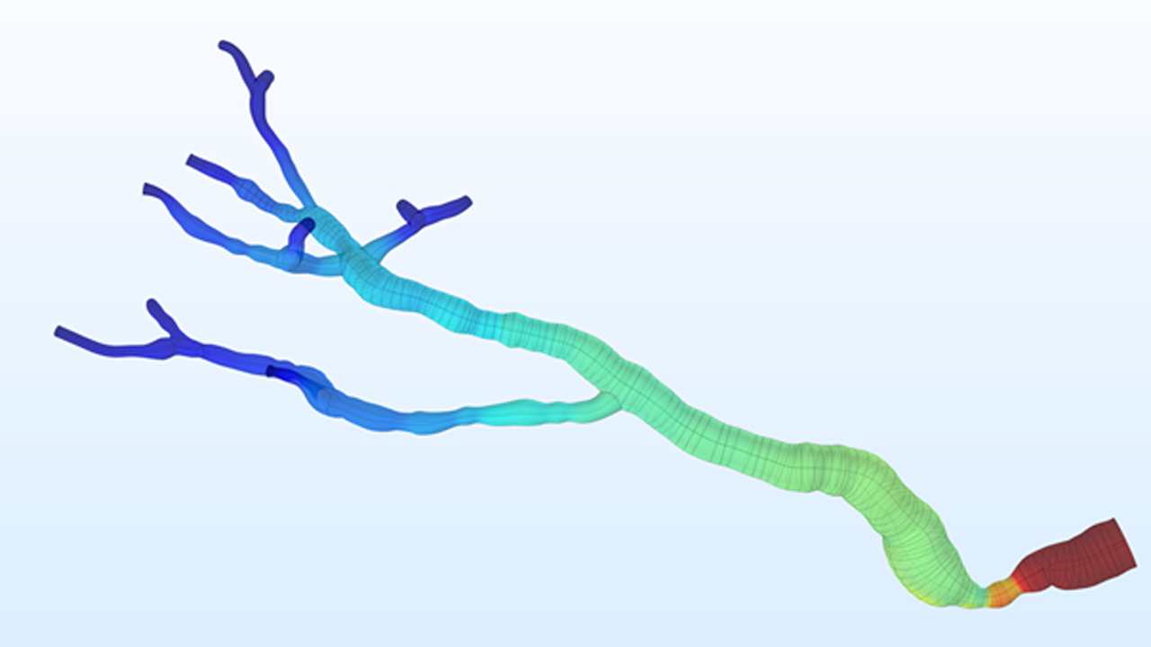 Blood flow pressure distribution and velocity streamlines in a renal vascularity model with stenosis in the renal artery.